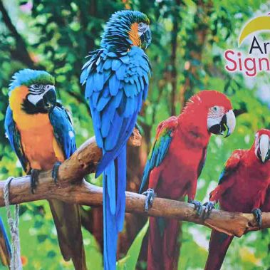 Printing-Banner-Rollup-Signboard-Flex Printing-sign art advertising